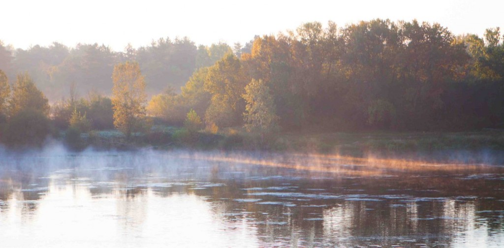 La Loire au petit matin