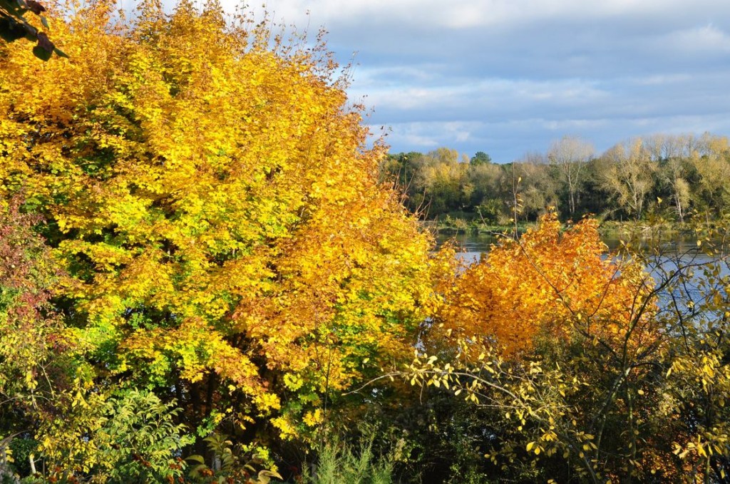 L'automne dans toute sa splendeur