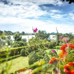 Fleurs et Loire