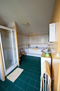 The green guest room : bathroom
