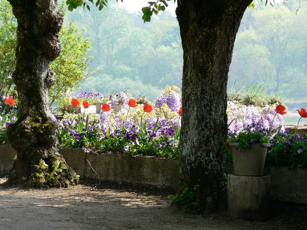 Trees and flowers