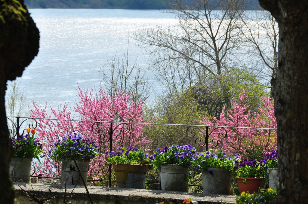 Flowers and Loire view