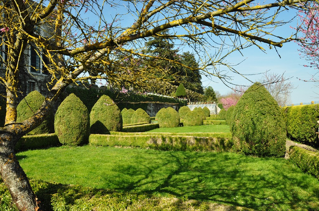 French garden